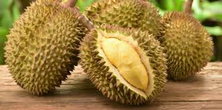 Baner unik durian kocok / download contoh spanduk sop durian cdr keren karyaku : Makan Durian Saat Hamil Itu Aman Nggak Sih Ketahui Manfaat Risikonya Theasianparent Indonesia