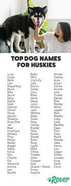 From classic names like lady to trendy names like bella, here's 500 popular female dog names to help get you want a name that sounds good, one that fits their personality, and one that the whole family can agree on. 43 Best Dog Names Ideas Dog Names Popular Dog Names Most Popular Dog Names