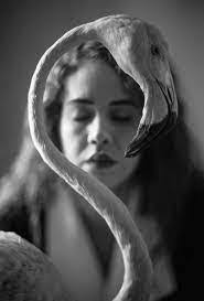 Ariel Raney's Instagram, Twitter & Facebook