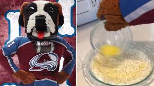 The colorado avalanche are a professional ice hockey franchise based in denver, colorado. Avalanche Mascot Bernie Has The Perfect Dish For At Home Sunday Brunch