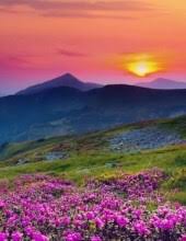 Sandra A. Abrahamson Obituary (2022)