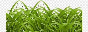 Comicbilder schwarz weiss euro clipart krone clipart kostenlos zahnrad free black and white clip art. Blumengarten Blumenbeete Und Garten Betten Clipart Blume Clipart Garten Clipart Png Pngwing