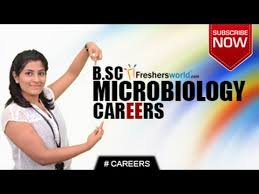 Image result for B.sc. Microbiology