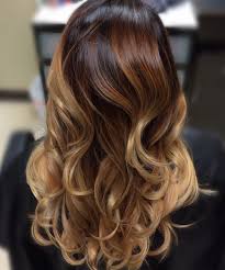 20 Tiger Eye Hair Ideas To Hold Onto Tiger Eye Hair Color Short Hair Balayage Balayage Hair