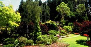 City of miami fee ordinance. Miami Landscaping 4 Beginner Mistakes To Avoid Organic Gardening Geek