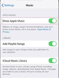 On your pc, click the download button next to a song or album. Fixed Apple Music Not Downloading Songs Issue Imobie Inc