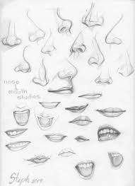 Nose And Mouth Studies By Tigre Lys On Deviantart Drawings Art Tutorials Nose Drawing