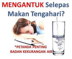Nah, bagi anda yang masih bingung dengan pola minum air putih selama puasa, seorang ahli gizi klinis dan konsultan nutrisi, riham shamseddine jumlah yang disarankan adalah 3 liter untuk pria dan 2,3 liter untuk wanita. Jom2 Minum Air Secukupnya Setiap 20 Kg Berat Anda 1 L Air Anda Boleh Kira Berapa Liter Air Yang Diperlukan Oleh Tubuh Anda Dalam Sehari Club Pics Air