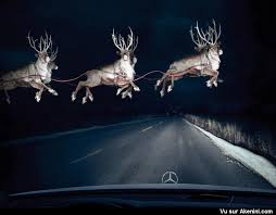 Humour Photos Fun Noel Akenini Com Traineau Pere Noel Pere Noel Noel