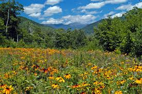The white mountains, in california and nevada, feature the highest mountain range totally within the great basin of the western united states. White Mountains New Hampshire Home Facebook