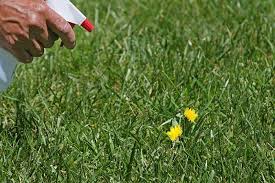 It seems that research conducted by the usda with solutions containing 5 percent vinegar has not been shown to be a reliable weed control. 30 Amazing Vinegar Uses In The Garden Balcony Garden Web