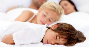 7 Best Essential Oils To Help Your Family Sleep All Night