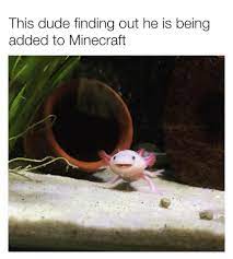 Here's how you can find, tame and breed axolotls. Axolotl Time Memes