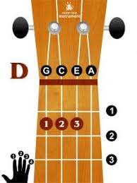 Ukulele chords learn uke chords at kittypickcom. Basic Ukulele Chords For Beginners Know Your Instrument