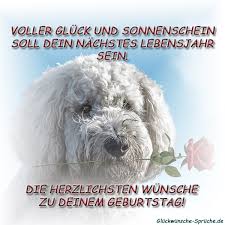 Es sollen auch neue funktionen für die app kommen. Https Www Xn Glckwnsche Sprche 32bdj De Glueckwuensche Geburtstag Geburtstagswuensche Whatsapp Html