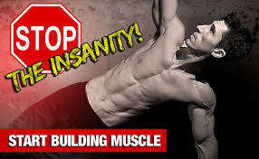 bodyweight workout stop the insanity