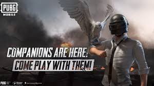 .season 2 account ( level 58high) season 13,14 max 100rp season 15rp on 65rp andy character open.pubg mobile best gameplays like for more. Get The Pubg Mobile Falcon Companion Now