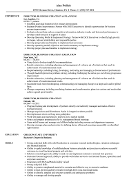 director, business strategy resume