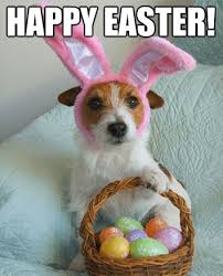 Image result for Easter bunny memes