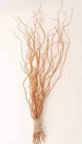 Curly Willow Branches 48 Willow Branches Curly Willow White Curly Willow Branches