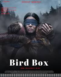 Bird box movie review and summary