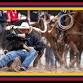 2026 Cheyenne Frontier Days - JULY 23 RODEO event in Cheyenne, WY
