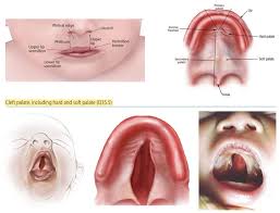 Page 4 | Woman Open Mouth Uvula Images - Free Download on Freepik
