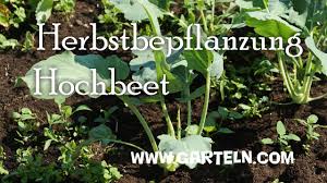 Die kurze information über köln bekommen Hochbeet Im Herbst Gemuse Krauter Die Ihr Jetzt Pflanzen Konnt