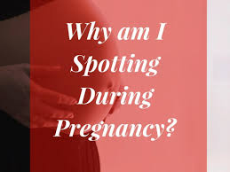 At times spotting may be mistaken for a period, when in fact you may be pregnant and require rest. An Explanation Of Bleeding Spotting During Pregnancy Wehavekids