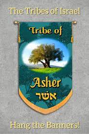 Tribes Of Israel Tribe Of Asher Printed Banner Banner Printing 12 Tribes Of Israel Tribe