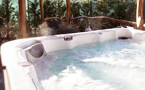 Jaccuzi Chalet Cabane Photo De Domaine Du Haut Jardin Rehaupal Tripadvisor