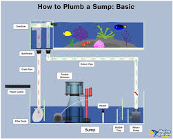 How To Plumb A Sump Basic Intermediate And Advanced Marine Depot Blog Aquarium Sump Saltwater Fish Tanks Saltwater Aquarium Setup