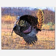 We did not find results for: Thanksgiving Jigsaw Puzzles Webnuggetz Com Webnuggetz Com