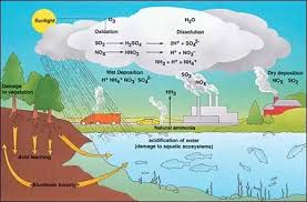 Image result for images rain water acidity