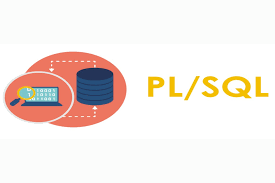 Image result for Computers Programming Languages PL-SQL