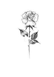 Popular Rose Tattoo Stem Rose And Stem Tattoo Coloured Rose Tattoo Rose Tattoo Sleeve Black Rose Tattoos