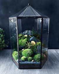 X Large Glass Terrarium Geometric Hexagon Decor Etsy Cactusflower Large Glass Terrarium Succulent Terrarium Glass Terrarium