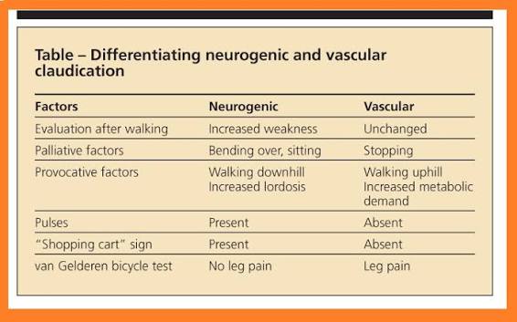 Neurogenic vs Vascular claudication #mrcp #usmle #fcps