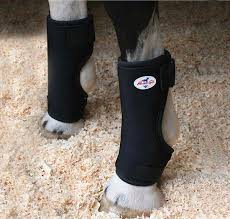bed sore hoof horse boots professional
