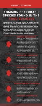 View our trusted international suppliers. Common Cockroach Species Found In The Food Business Pest Control Cockroaches Pests
