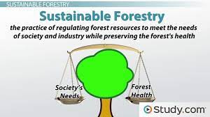 What is environmental sustainability in construction? Environmental Sustainability Definition And Application Video Lesson Transcript Study Com