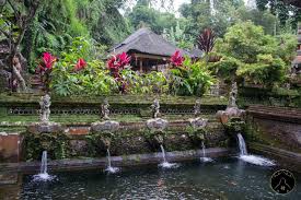 Ubud Bali Indonesie Top 20 Des Endroits A Visiter A Ubud Et Ses Environs Ubud Bali Bali Indonesie Et Visiter Bali