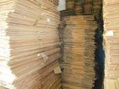 Resultado de imagem para Artur Nogueira, Campinas, Cosmópolis,...#JORNAL para Canil... (vendemos por quilo) via #caixasmud #svr #lixozero @salvarvores