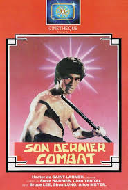 La fille de bruce lee accuse quentin tarantino de caricaturer son père dans son nouveau film. Bruce Li La Biographie Par Nanarland