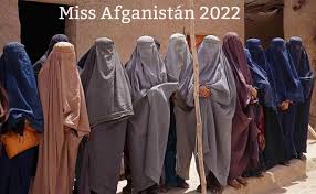 Jacob Abadi (@abadijacobo) • Instagram photos and videos