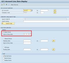 Sap Clearing Of Open Items Automatic And Manual Clearing