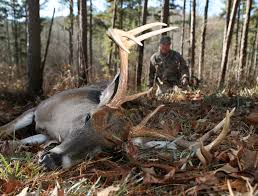 Visit bringfido for an overview of the trail, along with pictures, directions, and the homochitto national forest was named for the homochitto river, a native american name for the big red river. the area of land around what is. Fall Hunting And Fishing In Mississippi Louisiana