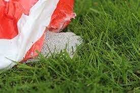 Herbstdünger, rasendünger, dünger, kalk, magnesium. Herbstrasendunger Wie Sollte Man Rasen Im Herbst Dungen Hausgarten Net