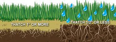 Perhaps youve recently reseeded and need more information on what you should be doing. Benefits Of Dethatching And Aerating Your Lawn Milorganite