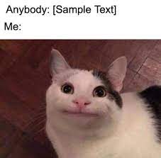 We bestow them on others without losing a thing. Polite Cat Meme Maker
